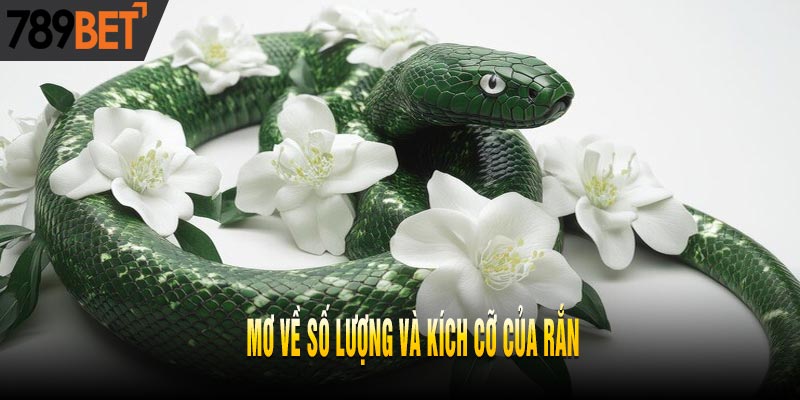 Bà Bầu Mơ Thấy Rắn - Điềm Tốt Hay Xấu - Sinh Con Trai Hay Gái?